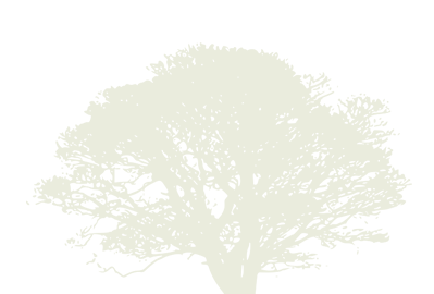 Arbor Age Testimonial Tree