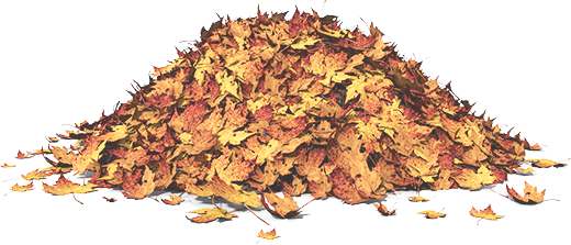 Pile of Fall Leaves