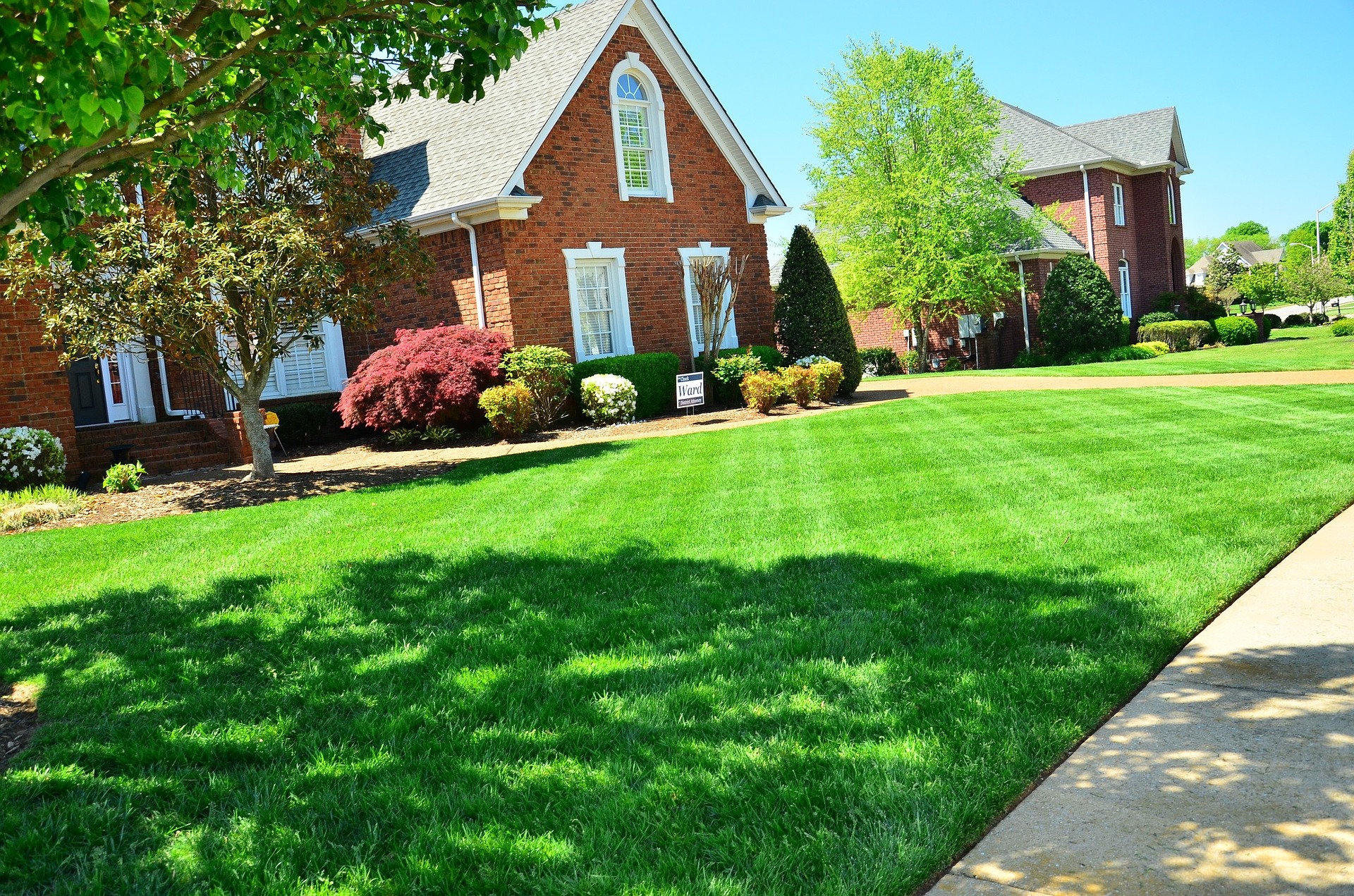 Arbor Age Tree Services Landscaping Photo