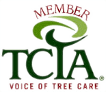 Member of TCTA Tree Organization