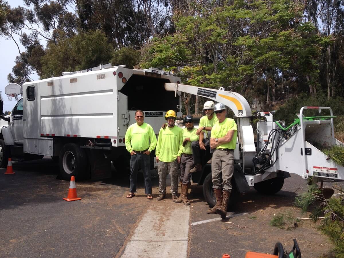 Arbor Age Tree Services Crew working on trimming and removing project