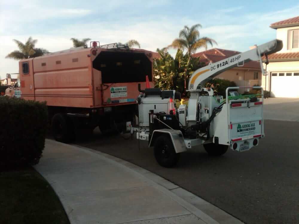 Arbor Age Tree Services Truck at a Tree Removal Project