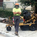Arbor Age Tree Services Stump Grinder in Action removing a stump