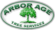Arbor Age Logo Mark