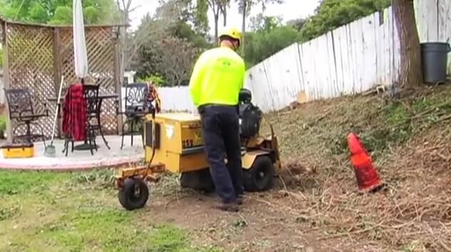 Worker grinding and removing stumps on a project